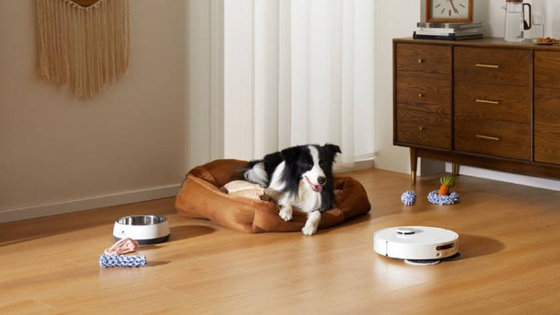 Robot vacuum pet