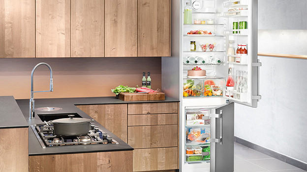 Liebherr BluPerformance fridge
