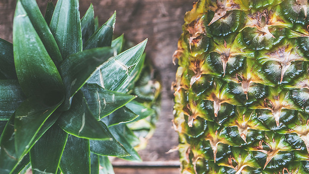 Quand choisir un objectif macro