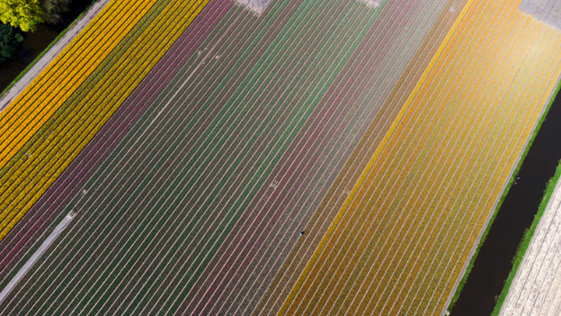 Juiste camerarichting