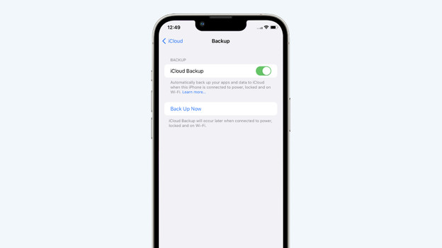 Make an iCloud backup
