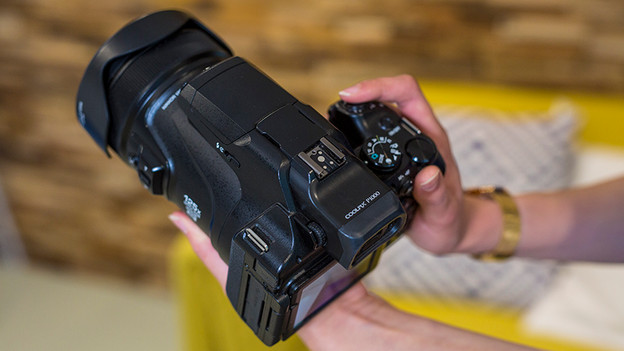 Différence entre le P1000 et le P900