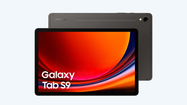 Tab S9: 11 inches with 2 cameras