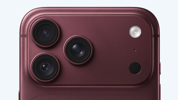 8 keer inzoomen met de telelens