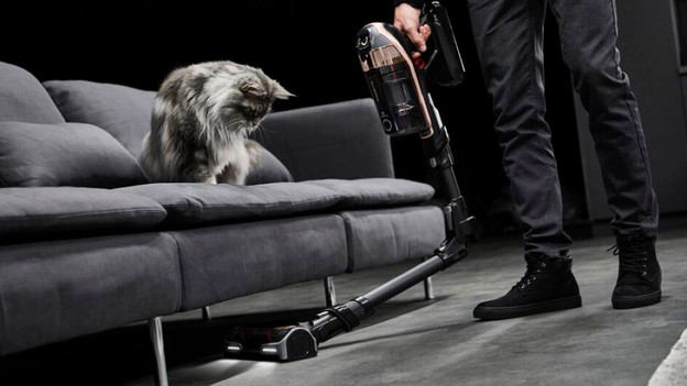 Rowenta avec manche flexible