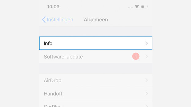 Info instellingen iPhone