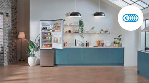 Inconvénient : un peu plus cher à l'achat