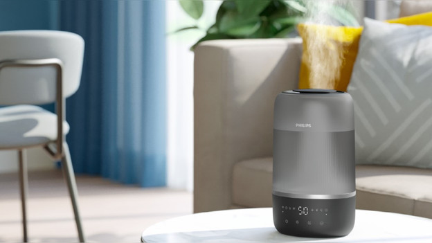 Ultrasonic humidifiers: quick and silent humidification