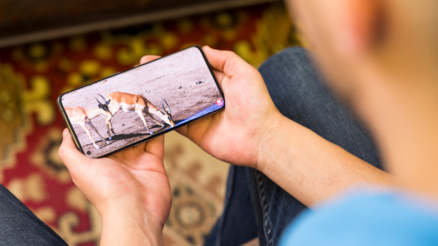 L'écran du OnePlus 11