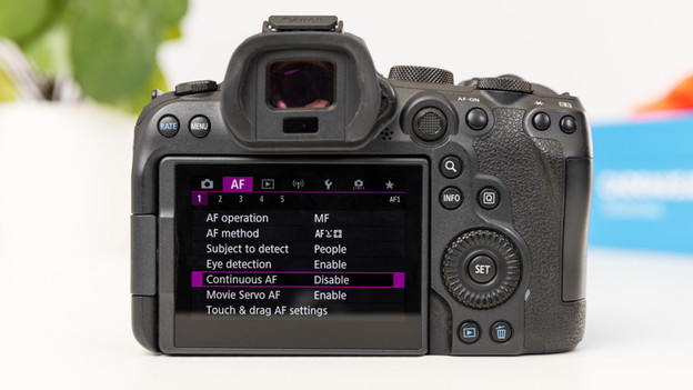 Canon EOS R6 : photographier à 20 fps