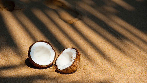 Photographier en vacances