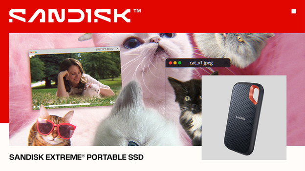 SANDISK Extreme Portable SSD