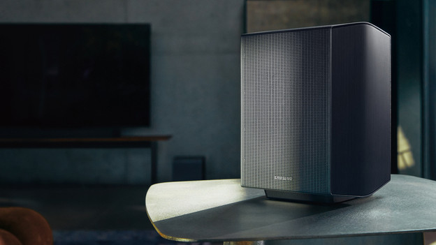 Samsung achterspeaker