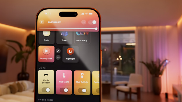 Wat kun je met een Philips Hue bedrade wandschakelaar?