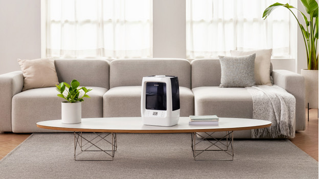 What are the advantages of a humidifier?