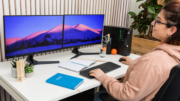 Person works on desktop.