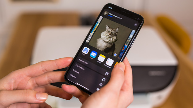 Ouvrez le fichier que vous souhaitez imprimer et cliquez sur l'icône « Partager »