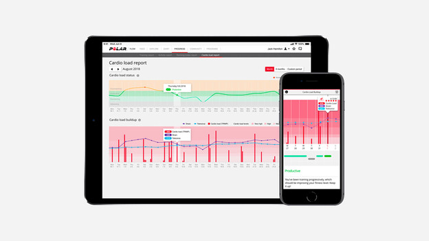 Cardio Load Polar Flow