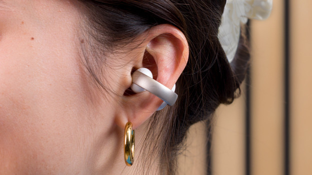 Ear clip
