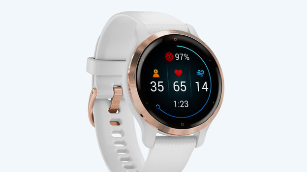 Garmin Venu 2: Health Snapshot