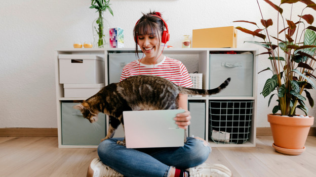 Personne avec un PC portable et un chat sur ses genoux