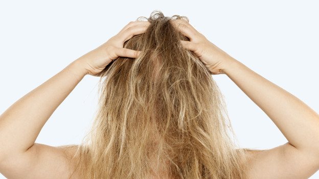 Les cheveux secs, abimés, teints ou pelucheux 