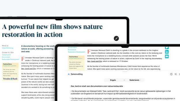 Summarize or organize notes