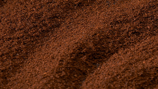 Mouture filtre : moins frais