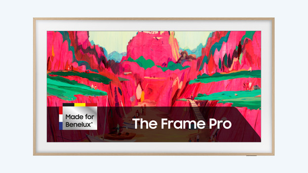 Samsung The Frame Pro: QD mini-led