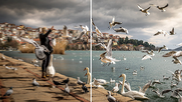 Stabilisation d'image optique