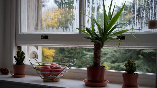 What's the difference with carbon monoxide?