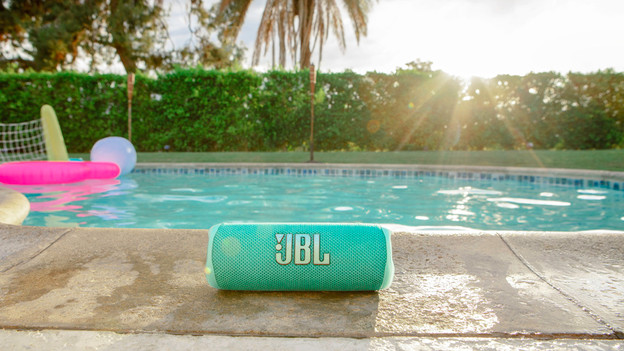 JBL Flip 6: JBL Portable