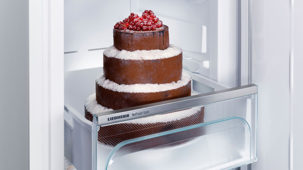 Freezer can withstand frost thanks to FrostProtect