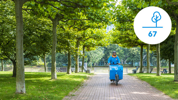 F costs a year of growth for 67 trees