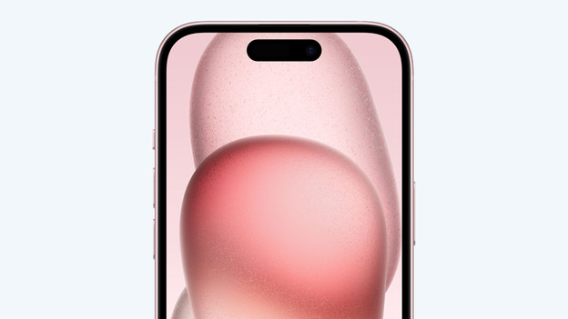 iPhone 15 (Plus): 6.1 and 6.7-inch screen as well