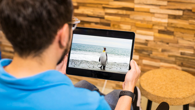 iPad neuf : produit plus durable, prix original