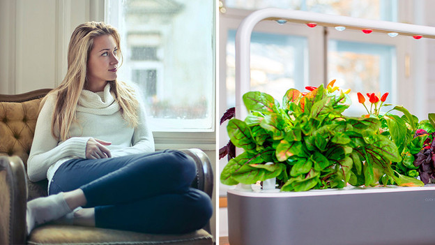 Produits connectés dans la cuisine