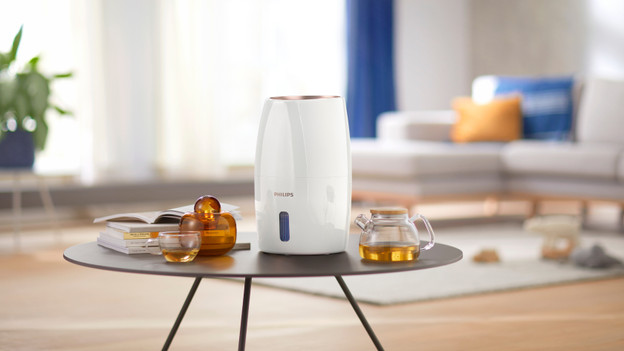 Natural humidification with less bacteria
