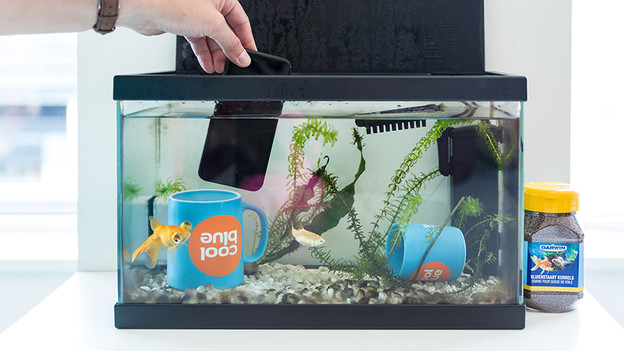 N'essayez pas chez vous