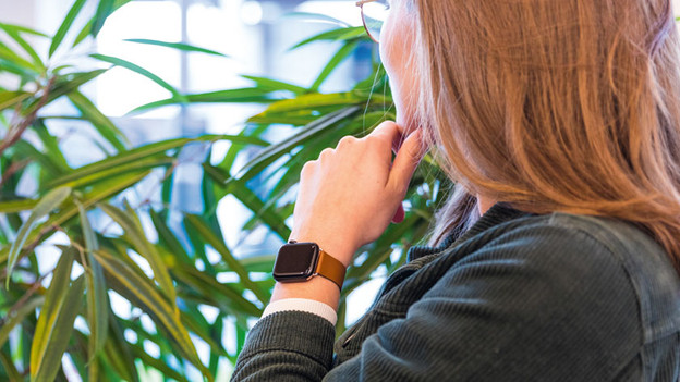 Bracelet Apple Watch