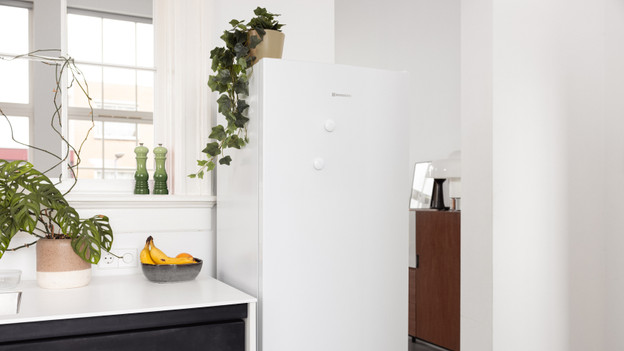 Single-door fridges