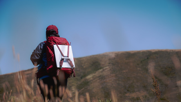 Starlink Roam: internet op reis