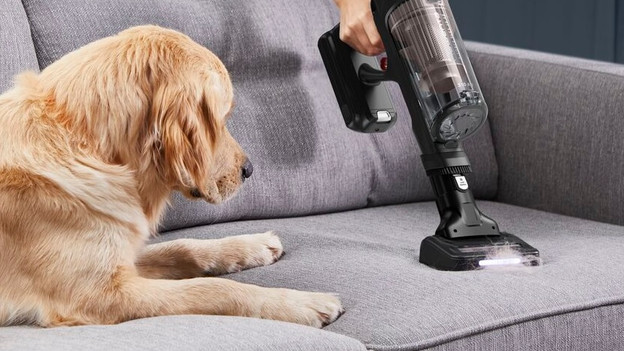 Aspirateurs-balais pour poils d'animaux