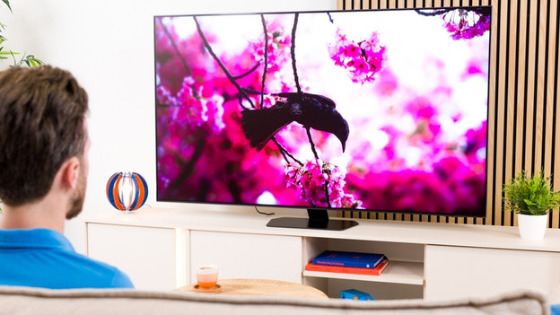 What's the difference between OLED and QLED?