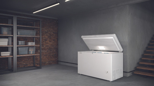 diepvriezer in de schuur