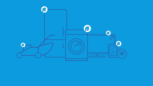 What can you buy with EcoCheques?