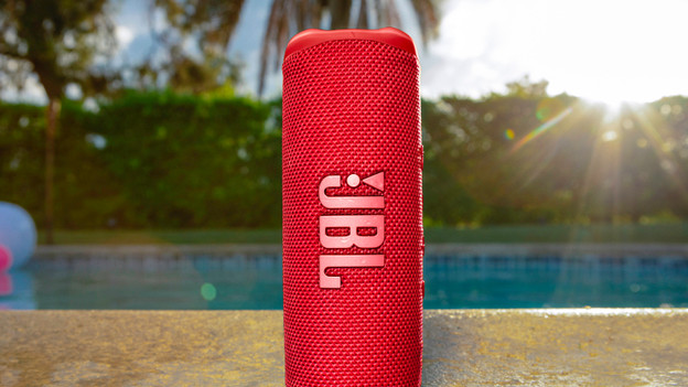 JBL Flip 6: easy to take with you