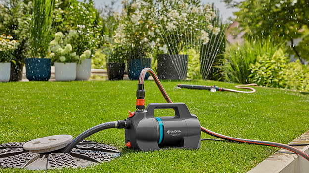 Pompe de jardin : arrosez vos plantes