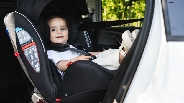 Car seat: seat belt harness