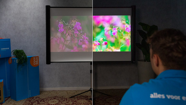 résolution de the freestyle